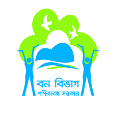 WB Forest